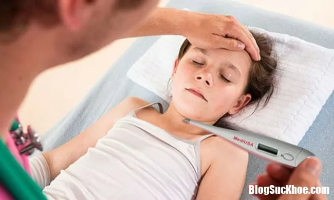Không may bị sốt, bị cảm nên bồi bổ bởi những thực phẩm này