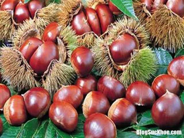 Hạt dẻ sống - Hạt dẻ chín: Loại nào tốt hơn?