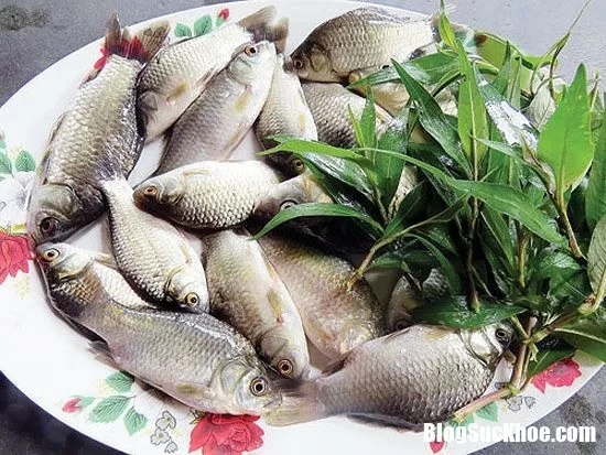 Bài thuốc chữa bệnh với cá diếc và một số điều cần lưu ý