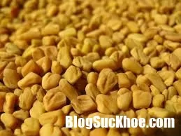 Những loại dược giúp người ngăn chặn triệu chứng bệnh trào ngược dạ dày