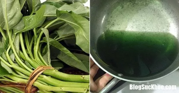 Nước luộc rau muống màu xanh đậm có phải do hóa chất?