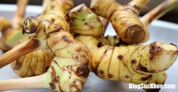 Biết được những điều này, bạn sẽ thường xuyên ăn củ riềng hơn