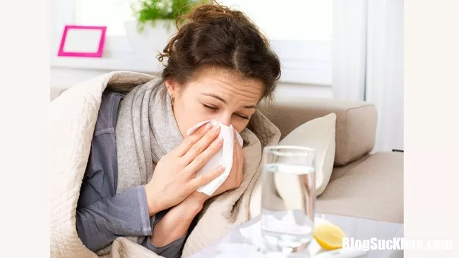 Trữ sẵn một trong những loại tinh dầu này để chữa và phòng tránh cảm lạnh
