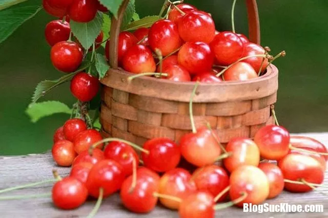 Quả cherry tưởng vô hại nhưng ăn như thế này sẽ gây ngộ độc