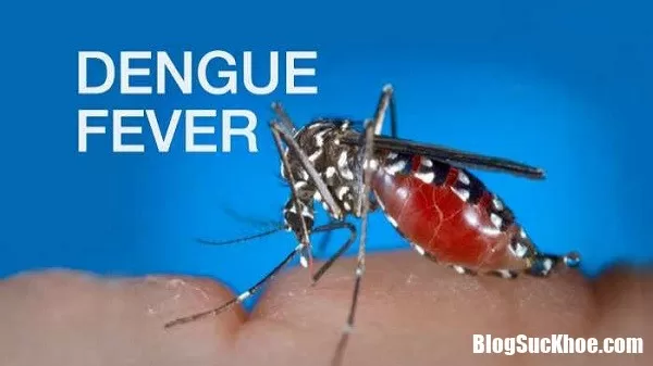 Những thắc mắc phổ biến nhất về căn bệnh sốt xuất huyết