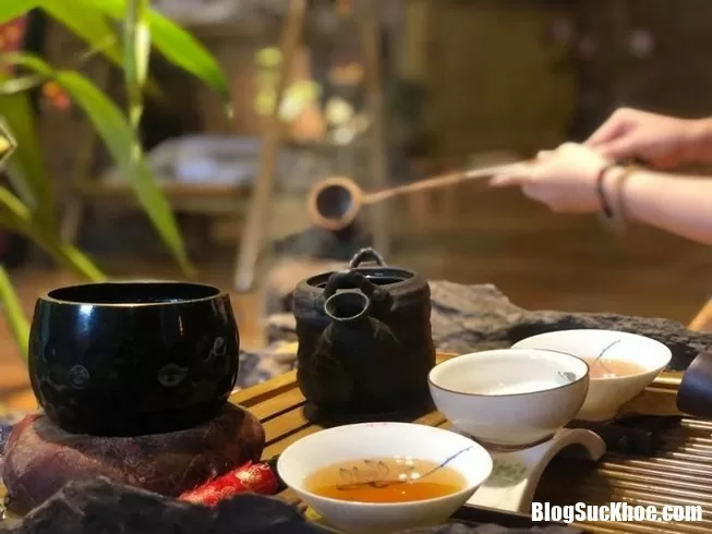 Trà là loại thực phẩm tăng tuổi thọ, nhưng không được dùng thế này!