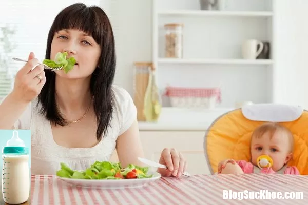 Từ việc vắt sữa, nguồn dinh dưỡng đến vệ sinh và bảo quản sữa mẹ