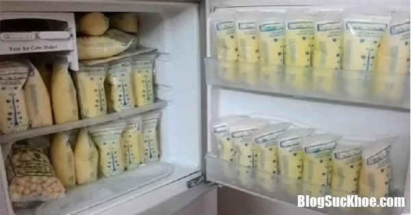 Từ việc vắt sữa, nguồn dinh dưỡng đến vệ sinh và bảo quản sữa mẹ