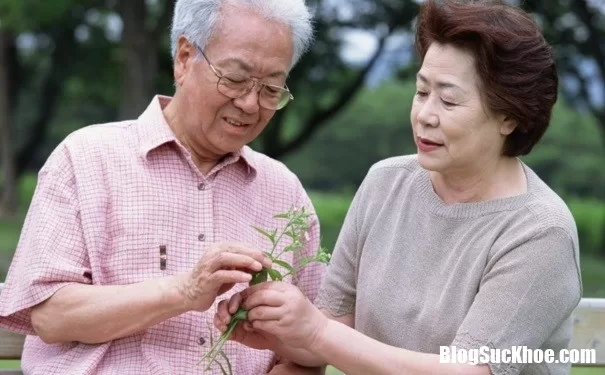 Giải pháp hiệu quả cho người lớn tuổi khó tiêu hóa