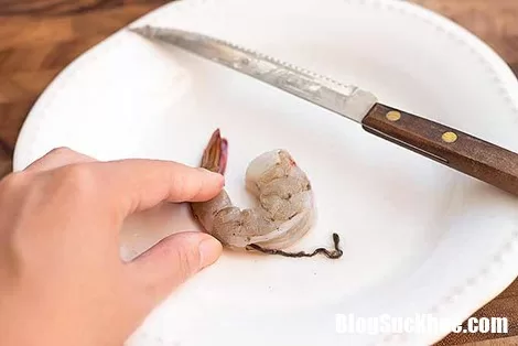 Lý giải vì sao mọi người không ăn bộ phận này của hải sản