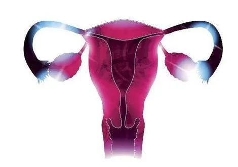 Đặc điểm đầu ngón tay cùng những bộ phận nói lên khả năng sinh sản