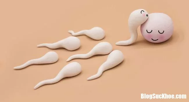 8 câu hỏi về sức khỏe kinh nguyệt mà nhiều phụ nữ cũng khó trả lời