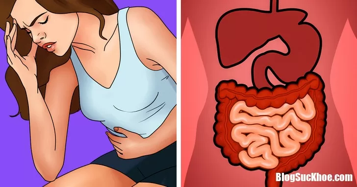 Cơ thể có đang tích tụ độc tố? Làm sao để nhận biết?