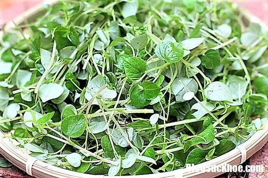 3 món ăn chữa đau đầu ngay lập tức an toàn hơn dùng thuốc