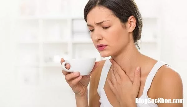 Lợi ích và tác hại của hạt chia với sức khỏe con người