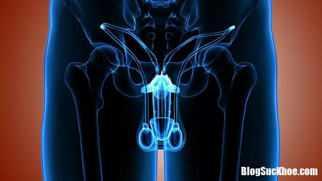 Nguyên nhân khiến tinh trùng bị biến dạng, ảnh hưởng đến sinh sản