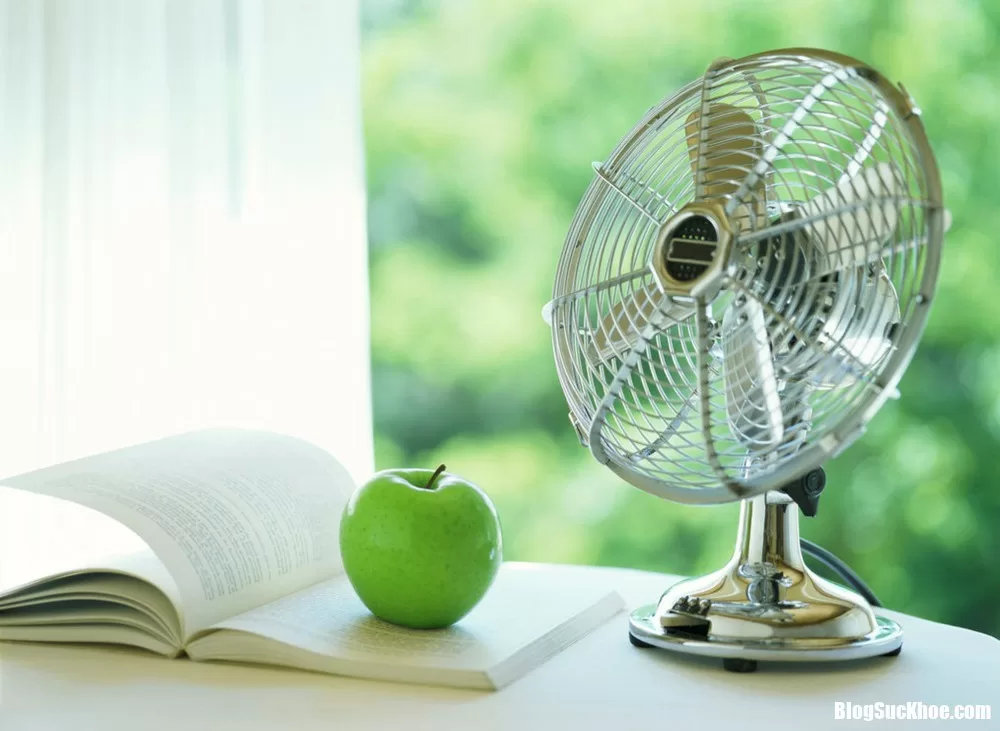Điều sai lầm khi giải nhiệt ngày hè có thể giết chết bạn