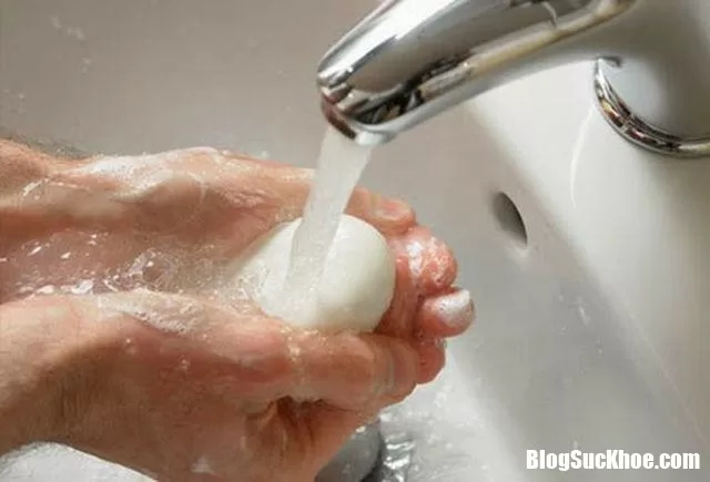 Hai đứa trẻ gần như bị mù, thủ phạm chính là từ loại ký sinh thường thấy ở chó mèo