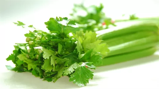 Vào mùa nắng nóng rồi thì nên ăn nhiều loại rau này
