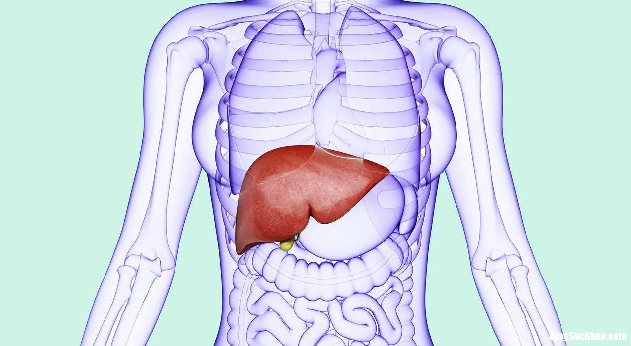 Chuyên gia chỉ ra một số căn bệnh có thể nhận biết được thông qua mùi hôi trên cơ thể