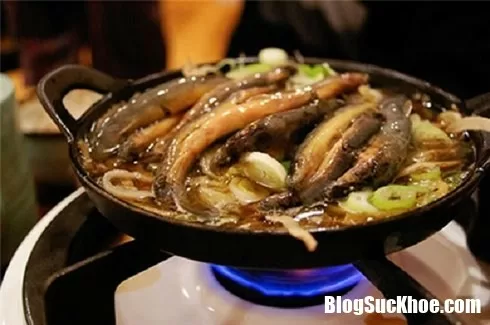 Bị ung thư bàng quang cần phải kiêng các thực phẩm gì?