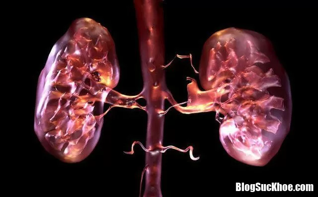 Cô gái 22 tuổi bị suy thận, thủ phạm gây bệnh hầu như là tất cả mọi người đều mắc phải