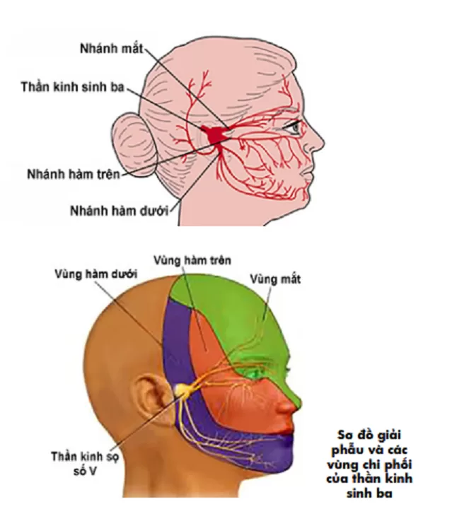 Bác sĩ hướng dẫn cách xử trí nhanh khi bị đau giật mặt