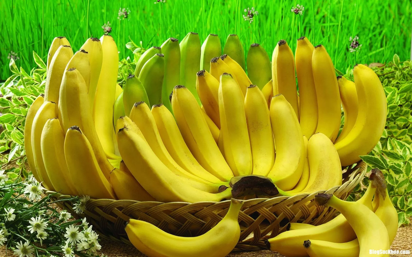 Điều kỳ diệu gì xảy ra với cơ thể nếu đều đặn ăn 2 quả chuối mỗi ngày?