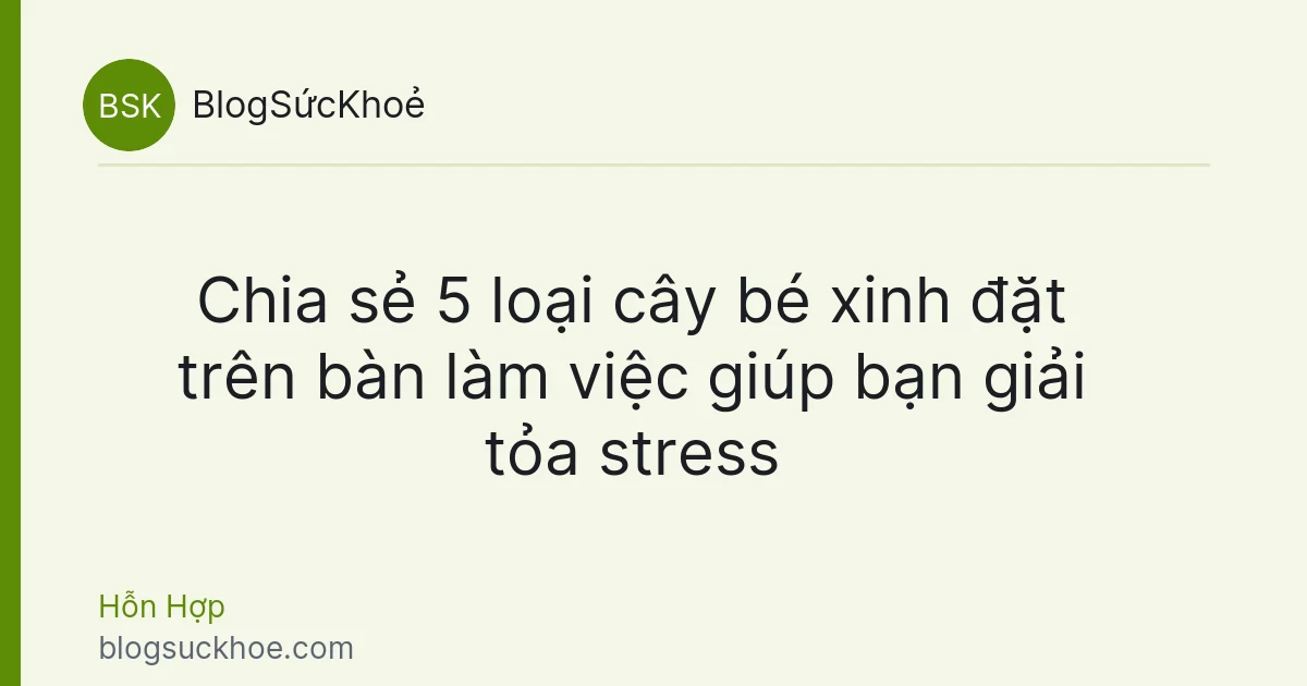 Chia sẻ 5 loại cây bé xinh đặt trên bàn làm việc giúp bạn giải tỏa stress