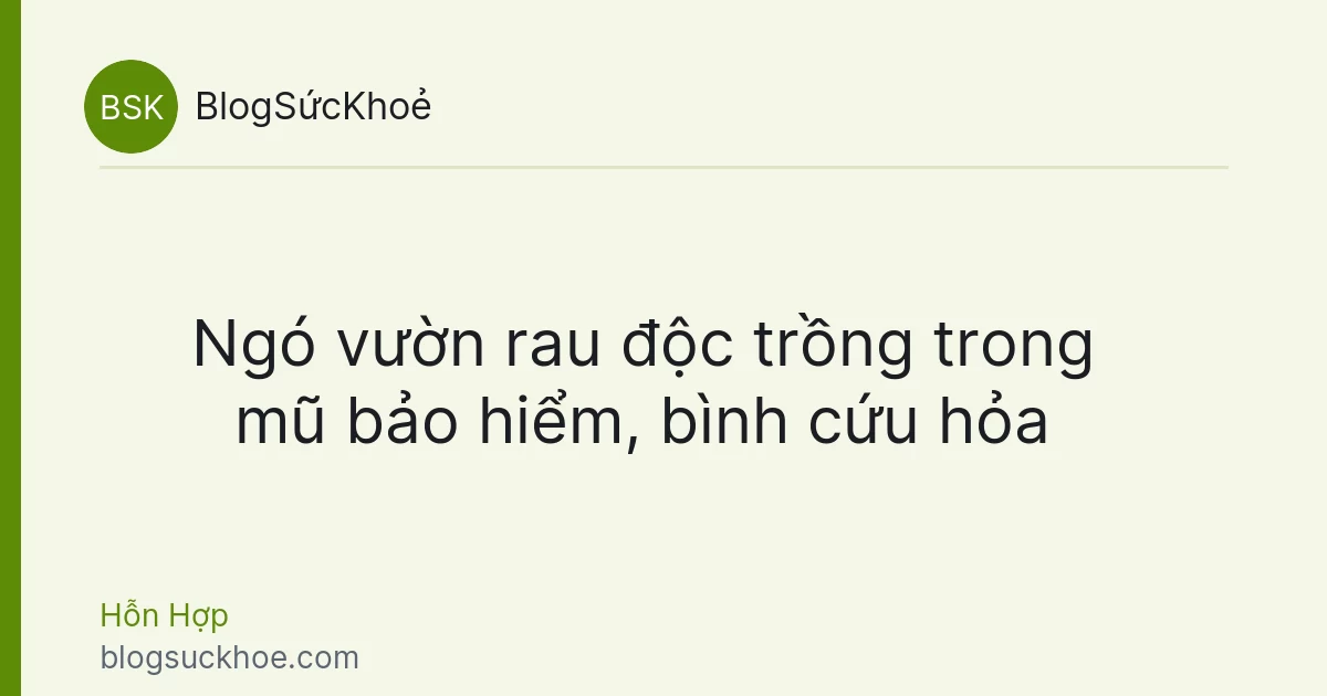 Ngó vườn rau độc trồng trong mũ bảo hiểm, bình cứu hỏa
