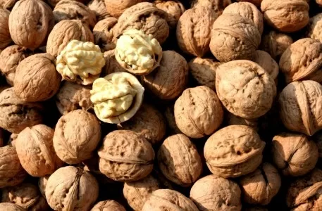 5 loại hạt cực kì có ích cho sức khỏe