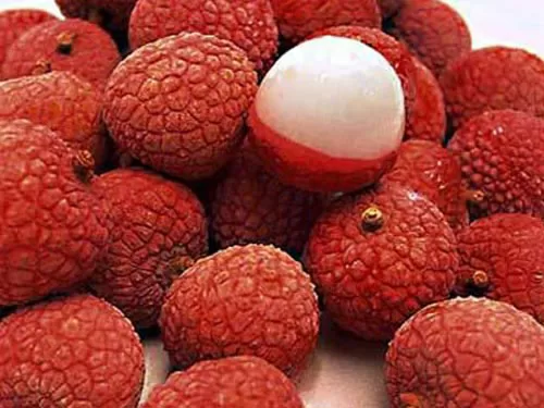 Bài thuốc chữa bệnh sán khí hiệu quả