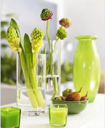 Những yếu tố tự nhiên giúp thúc đẩy trường khí có lợi cho sức khỏe