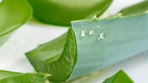 Bài thuốc điều trị ngứa âm đạo