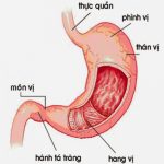 [Infographics] - 8 bộ phận cơ thể bị "bào mòn" như thế nào bởi thức ăn nhanh?